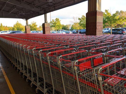 All new carts with awkwardly tall handle heights