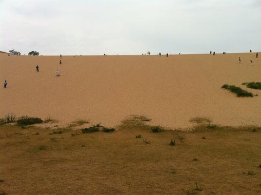 Dune Climb Book Store