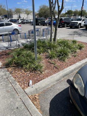 Something happened here... either a cart tornado or almost every person at Walmart in Lakeland is inconsiderate