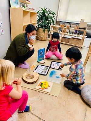 Tinycare - Soma Montessori Preschool