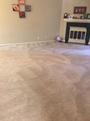 Another awesome job ! Thank you guys for making my carpets look new again !