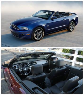 Want to ride around with some Vegas style? The 2014 Ford Mustang is one of our most popular cars!