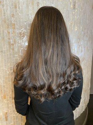 Cut & Partial Highlights