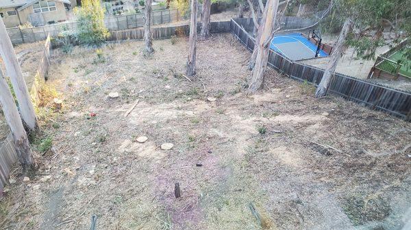 The scope of work Looking down from our home into the yard.