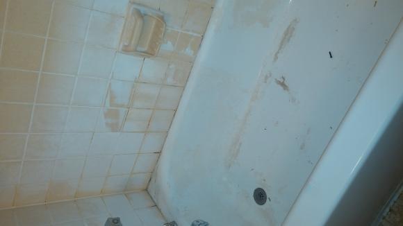 Before Bathtub Wall