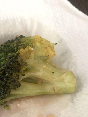 Worm on broccoli