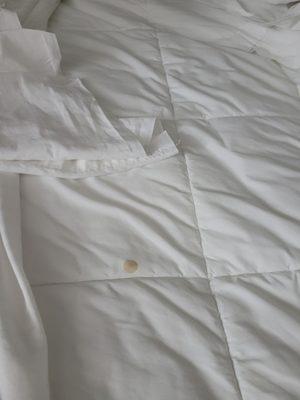 Dirty bed sheets