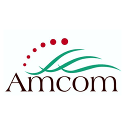 Amcom Tax and Accounting, Inc.