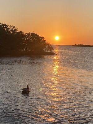 Sunset at Barnacle Buds