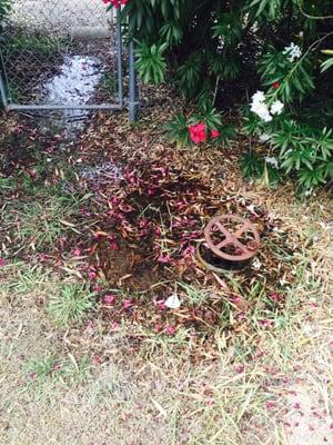 One of many, many of their valves leaking hundreds of gallons of water over a period of a couple days.