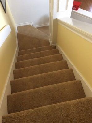 Dirt Free Carpet Cleaning