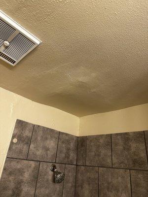 Bathroom ceiling was nasty and looked like it was coming down