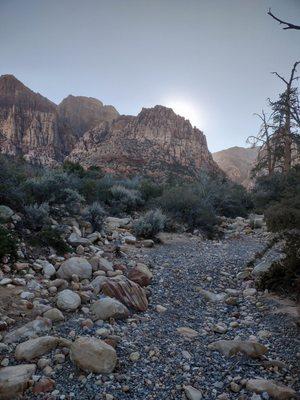 Along Fire Ecology trail