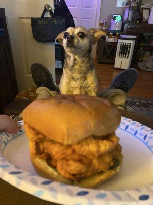 Southern Style Chicken And Waffle