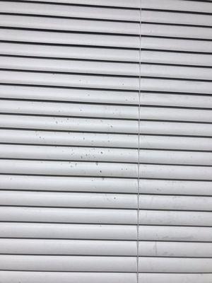 Dirty and food splattered blinds