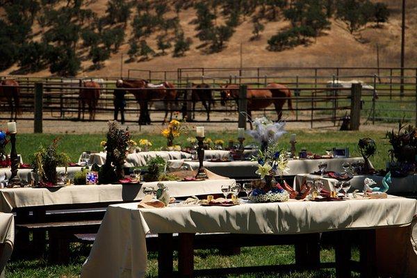 Outdoor Ranch Wedding. Rentals from Timeless Linen Rentals! Thank you Claudia!