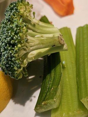 Crab dip dipping items. Unrinsed. Actual black gunk on food.