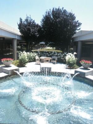 This unique interior design center is located outdoors in sunny CA. LDC is centered around a courtyard with gorgeous fountains.