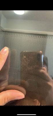 Dead spider in microwave found on move-in day.