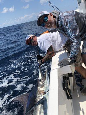 EST 300lb Blue Marlin