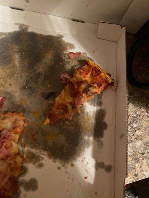 Who messes up a meat love pizza