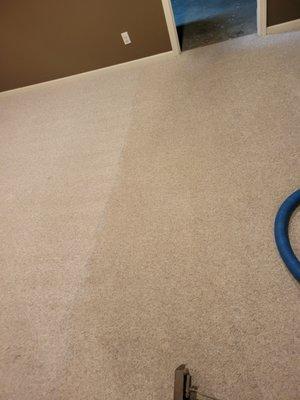 All American Carpet Cleaning