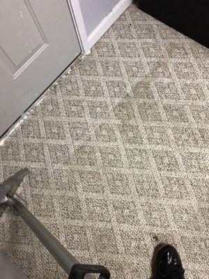 10year old carpet, first time deep cleaning.