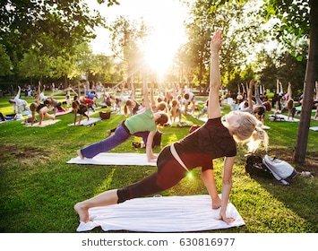 Yoga at Kona Coast's studio, on the beach, or at Paleaku Gardens Peace Sanctuary builds your resilience, compassion, & creativity.