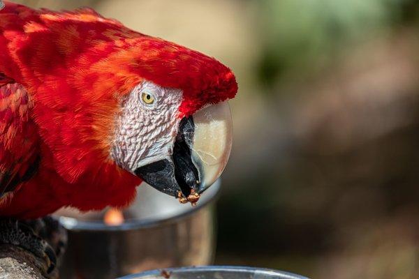 Santa Barbara Zoo