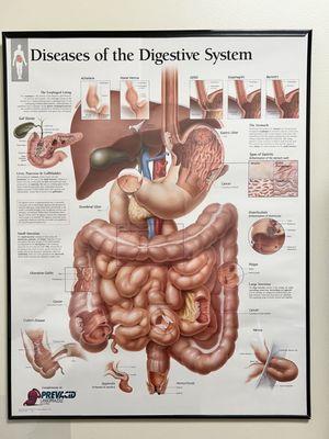 Digestive image