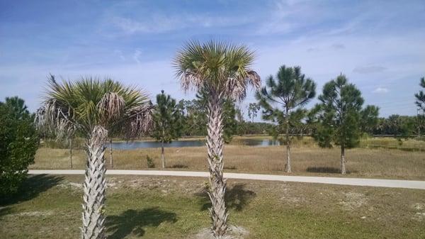 The jogging trail circles this small lake which has plenty of bass and bluegill for those interested in fishing.