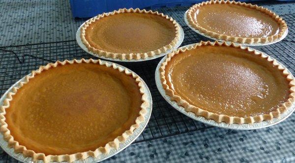 Pumpkin Pies