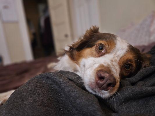 Mrs. Sunny sunshine letting me know it's time to wake up and go hiking