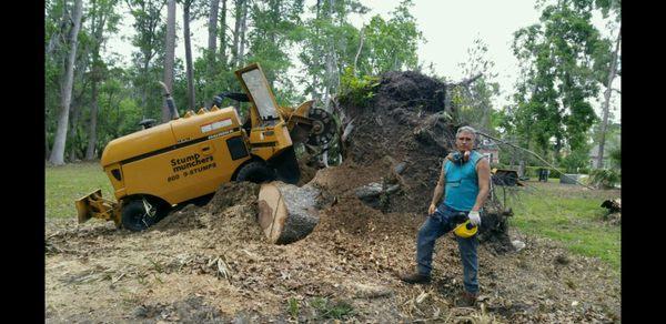 Stump Munchers