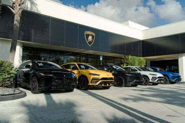 Beautiful Urus line-up!