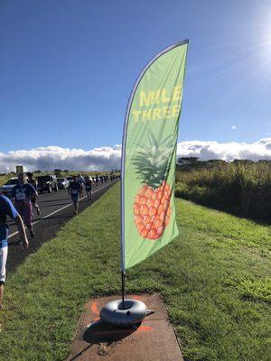 Half way there! Pineapple 10k Run!