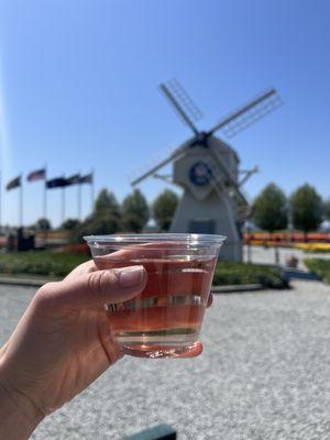 Rosé on a tulip day! ($7)