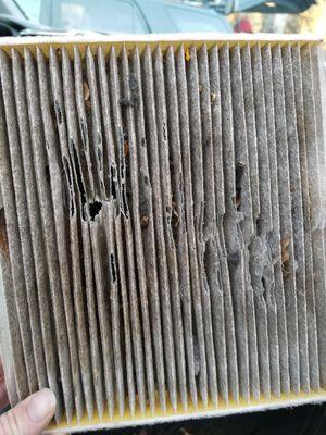 Destroyed cabin air filter