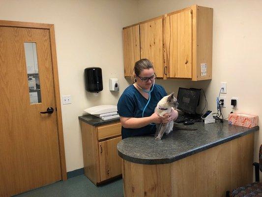 Private exam rooms with appointments facilitated by Certified Veterinary Technicians.