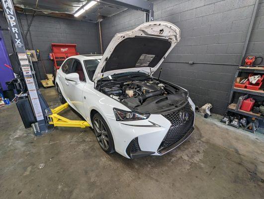 2018 Lexus IS200T F-Sport - Water Pump & Thermostats Replacement