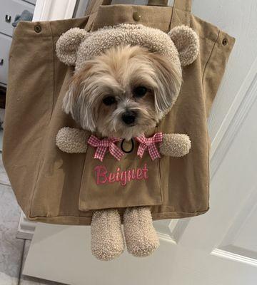 I had my puppy's carrier monogrammed with her name. It turned out great!