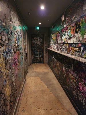 Hallway into the bathroom.