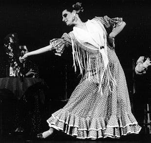 Rebecca Feder Flamenco