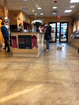 Lobby area with stressed out clerks. Not good.