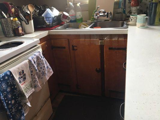 80 year old kitchen