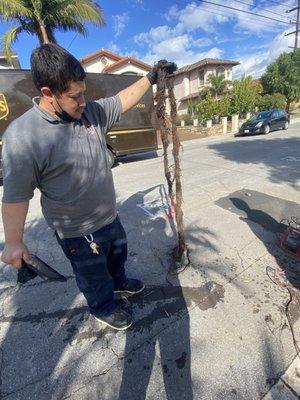 Technician completed our Hydro Jetting and Root Removal Services