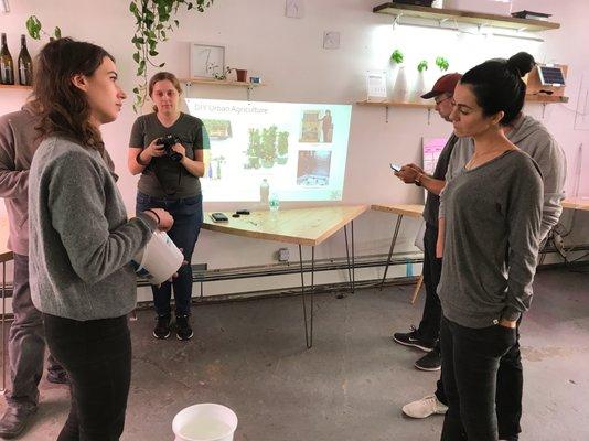 "Introduction to Hydroponics & Urban Agriculture in NYC" class