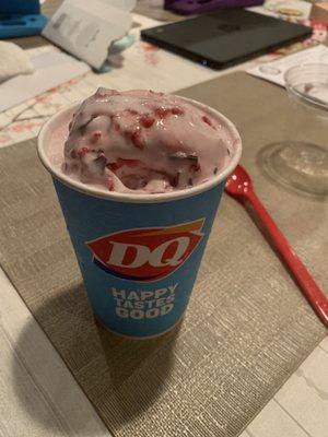 Raspberry Fudge Bliss Blizzard Treat