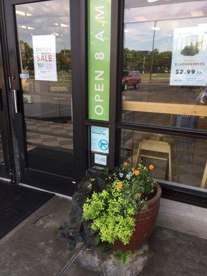 Potted edible flowers greet you at Open Harvest