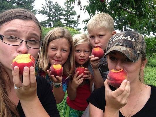 Fresh peaches....yummm!